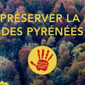 collectif TPMF touche pas à ma forêt