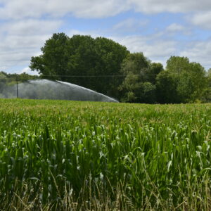 9 août : Réduction des quotas d’irrigation dans le bassin de l’Adour, de la responsabilité de l’État et d’IRRIGADOUR