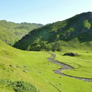 Hautacam, Bigorre, Combe d' Ourrec_@Thierry Llansades